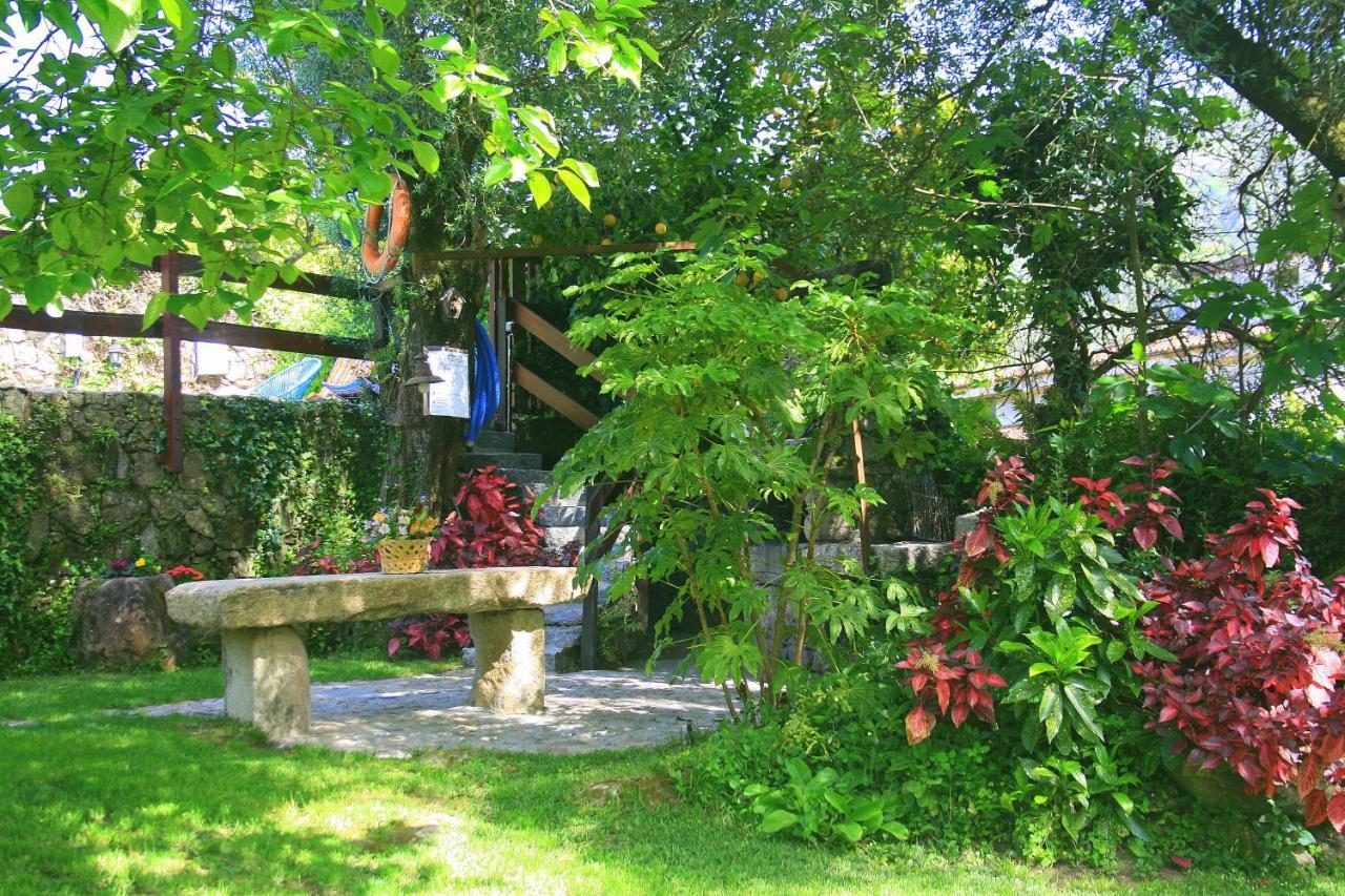 Vila Casa Da Rocha Caldelas Exteriér fotografie